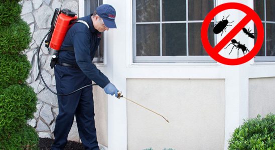 Beşiri Bit İlaçlama böcek ilaçlama ve haşere kontrolü — ilaclama-tr.com